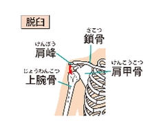 iz8vdy4i2nqgacogg58qaxobo-96f637.jpg iz8vdy4i2nqgacogg58qaxobo-96f637.jpg