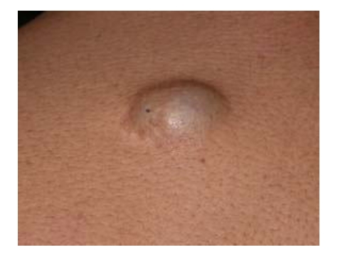 pm5riat1fxdpsb1_y5zr1apn5krau13f.jpg pm5riat1fxdpsb1_y5zr1apn5krau13f.jpg