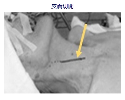 zo2c9ic4s38z33z-yrnxyif1qdt4bgb-.jpg zo2c9ic4s38z33z-yrnxyif1qdt4bgb-.jpg