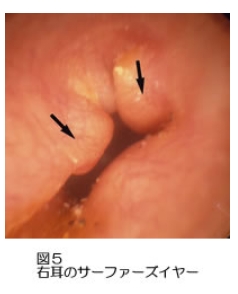 x8cxdxtto0pexbjg4bdyj59r_-36copf.jpg x8cxdxtto0pexbjg4bdyj59r_-36copf.jpg