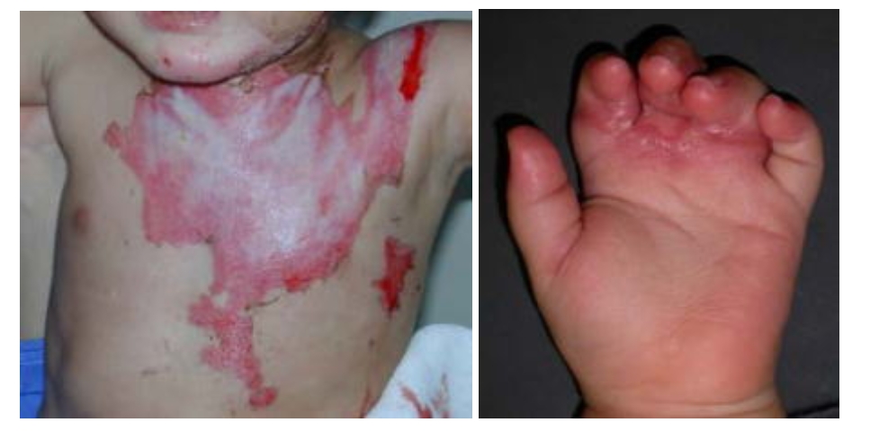 mouswe1aq-dsezm40fyga0_ub-1fswyt.jpg mouswe1aq-dsezm40fyga0_ub-1fswyt.jpg